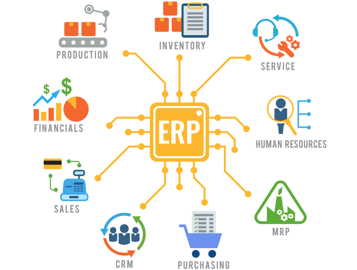 ERP Business Systems